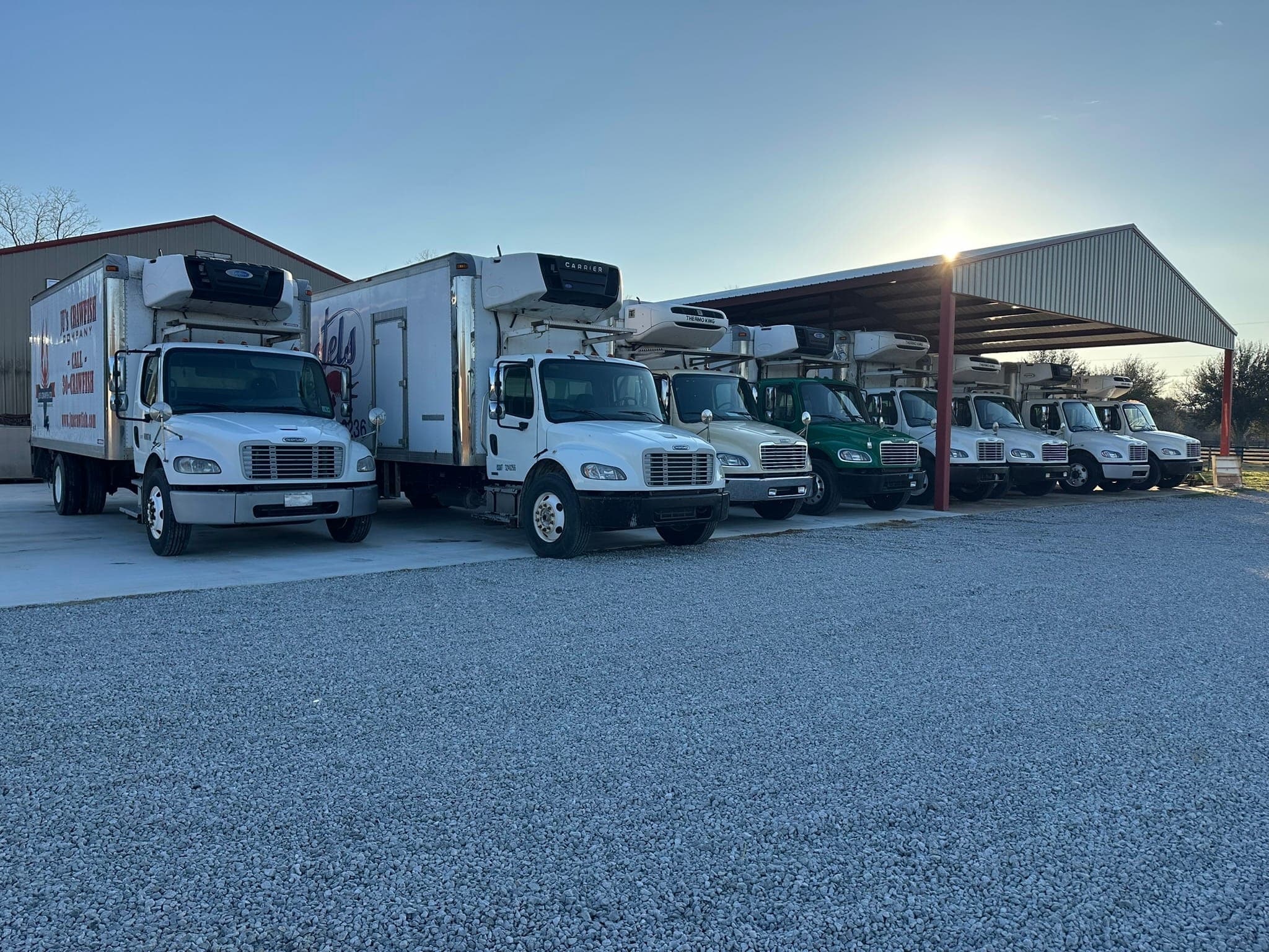 The full Ju's Crawfish Company refrigerated delivery fleet lined up at the Plaucheville plant at golden hour, sun flaring over the shed roof