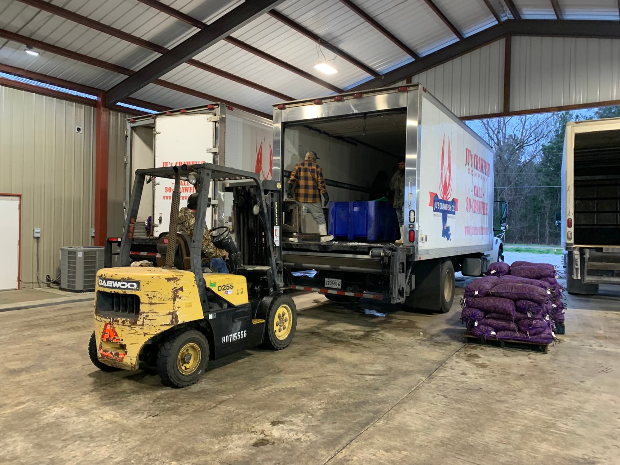 A forklift loading crawfish into a branded Ju's Crawfish Company delivery truck at the Plaucheville plant