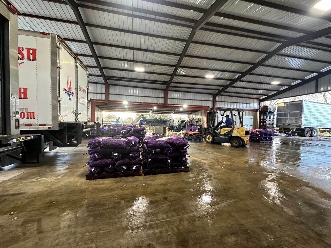 Inside the Ju's Crawfish Company plant — pallets of washed live crawfish staged for loading